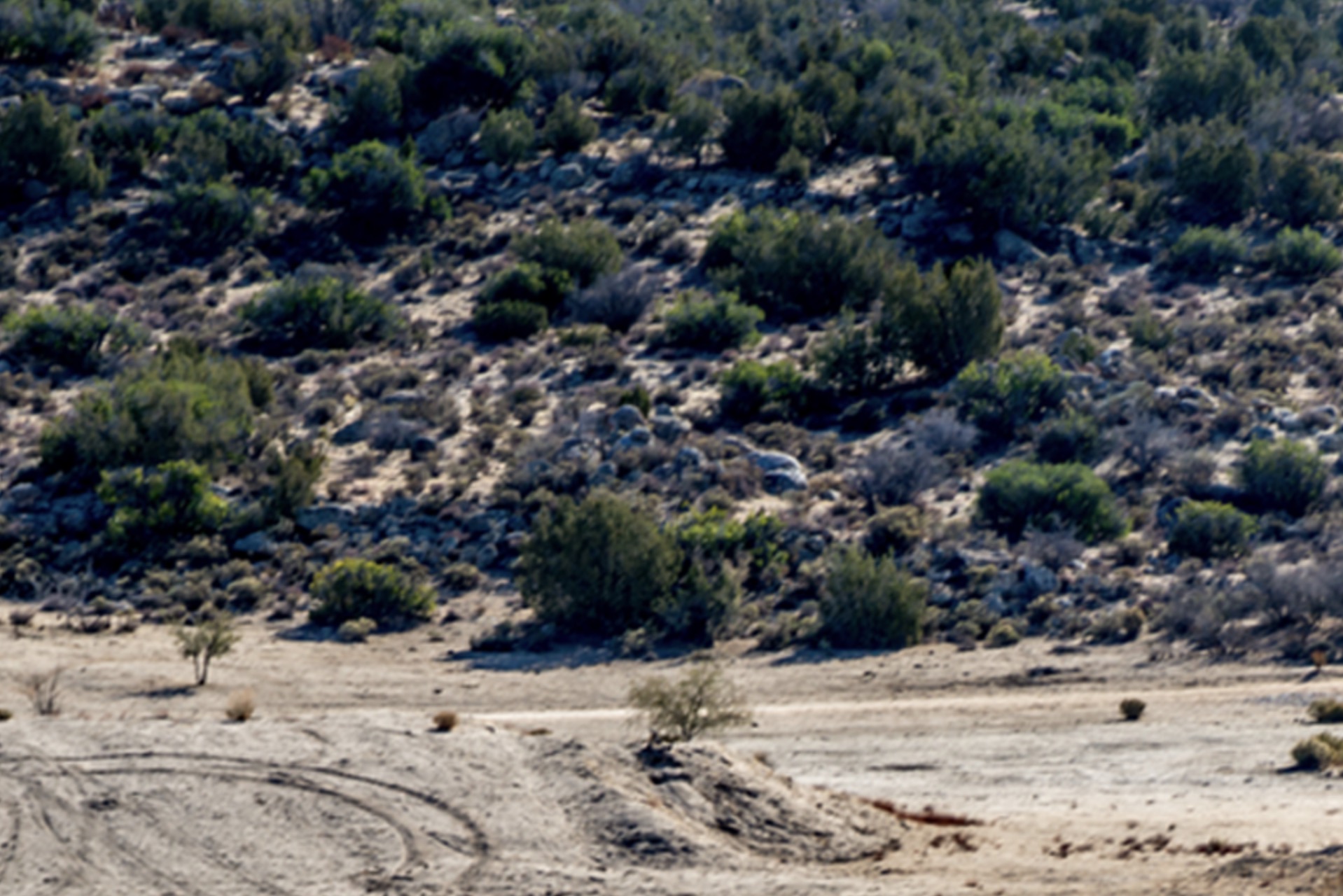 Frontier Surveillance for Border Security