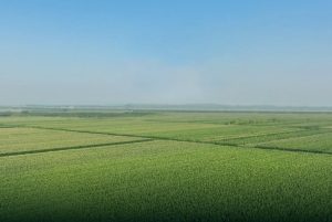 Precision Agriculture