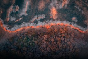 Wildfires