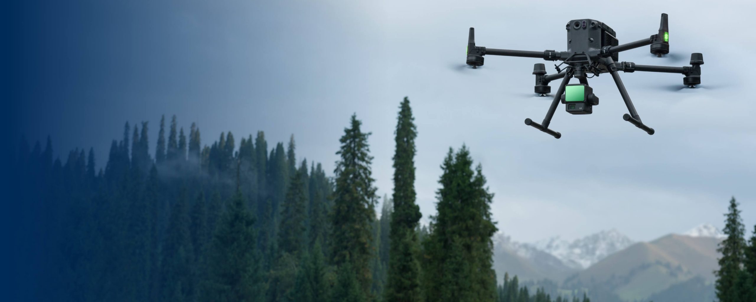 Accurate Forest Inventory